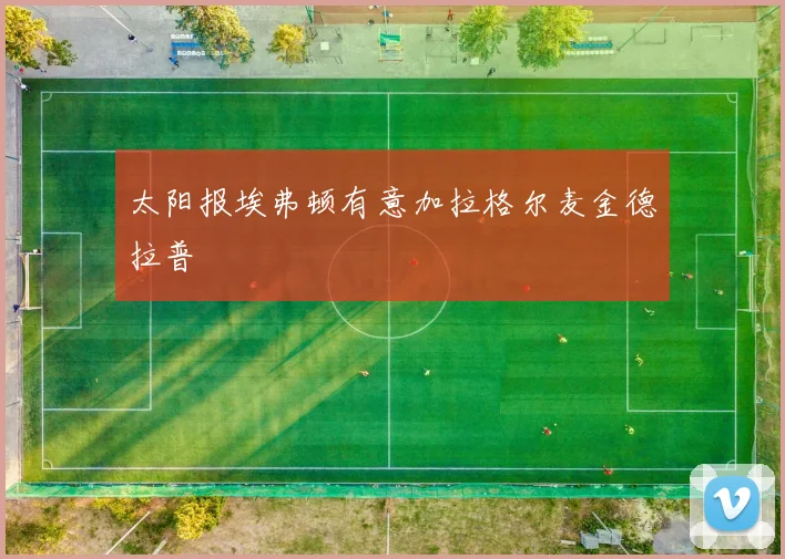 太阳报埃弗顿有意加拉格尔麦金德拉普